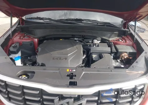 2024 Kia Telluride S из США, поврежденный, VIN 5XYP6DGC7RG542949